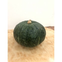 Pumpkin (Japanese variety)