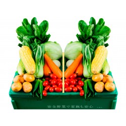ご近所しゅんの野菜BOX（ミニ）