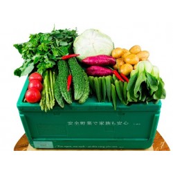 SYUN vegetable box Vietnam