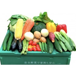 しゅんの野菜BOX(しゅん会員様用)