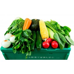 ベトナム人用お試ししゅんの野菜BOX（ミニ）